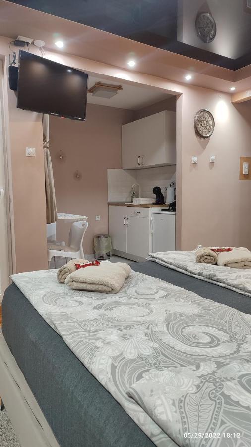 Iva Lux Apartman Zaječar Buitenkant foto